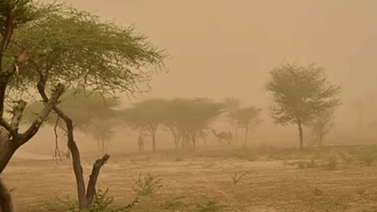 Rajasthan Weather Today: Thunderstorms and Rain Likely in Eastern Districts, Heatwave Alert for Western Region