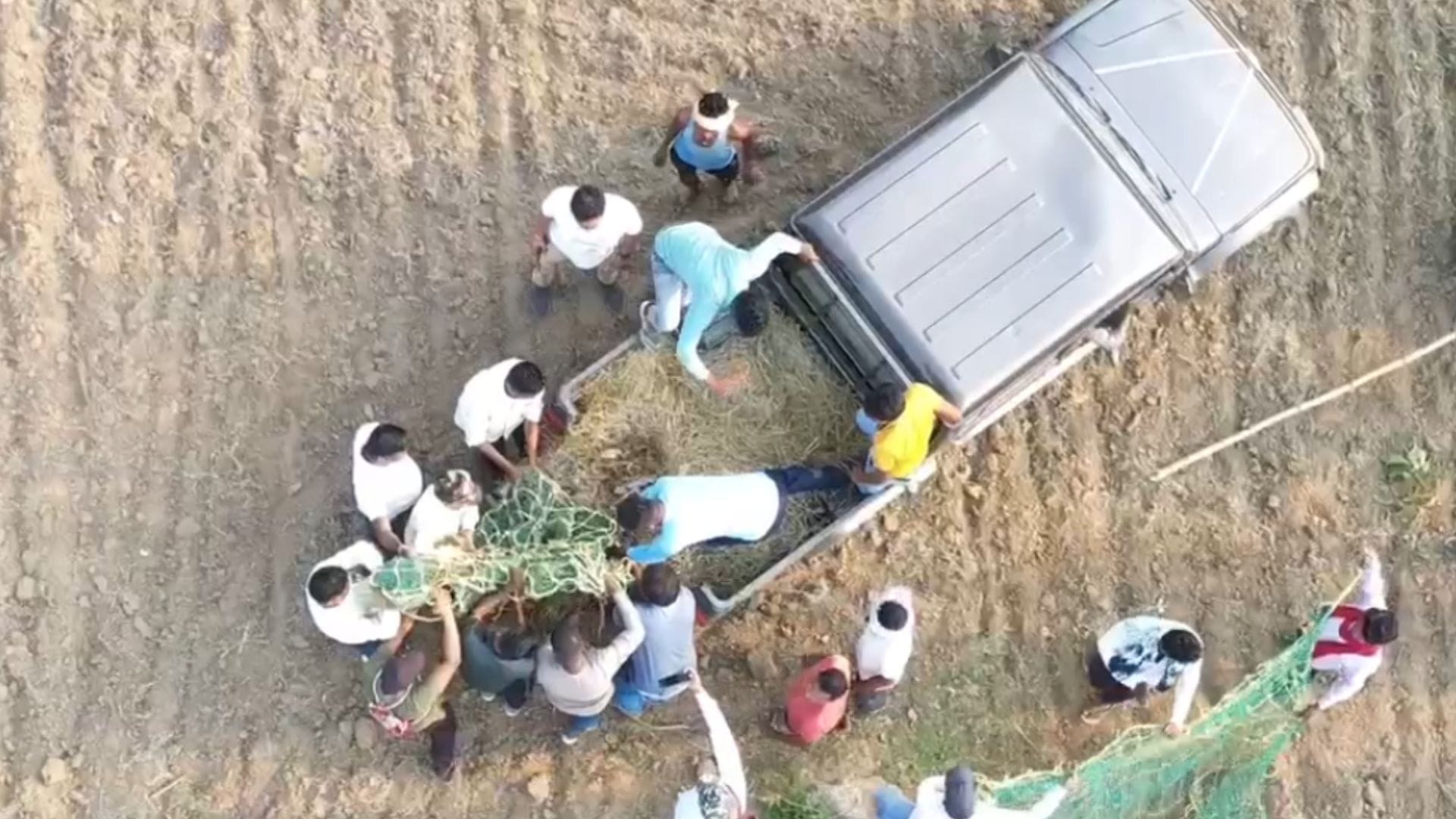 रेस्क्यू के दौरान तेंदुए की मौत