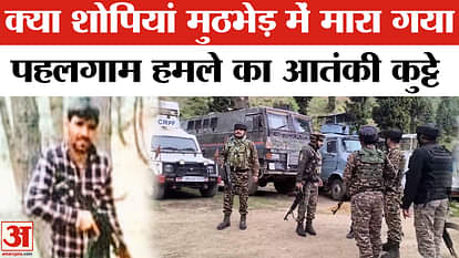 3 Lashkar terrorists killed during encounter with security forces in J&K's Shopian
