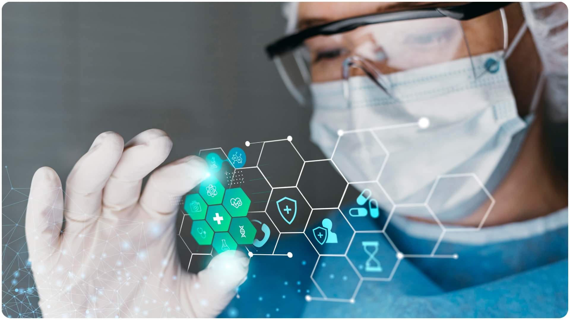 African swine fever outbreak in Kerala know how dangerous it is for humans