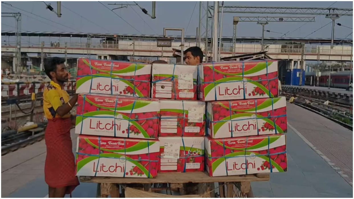 After Delhi consignment of litchi sent to Mumbai, enthusiasm among litchi farmers and traders hope for better