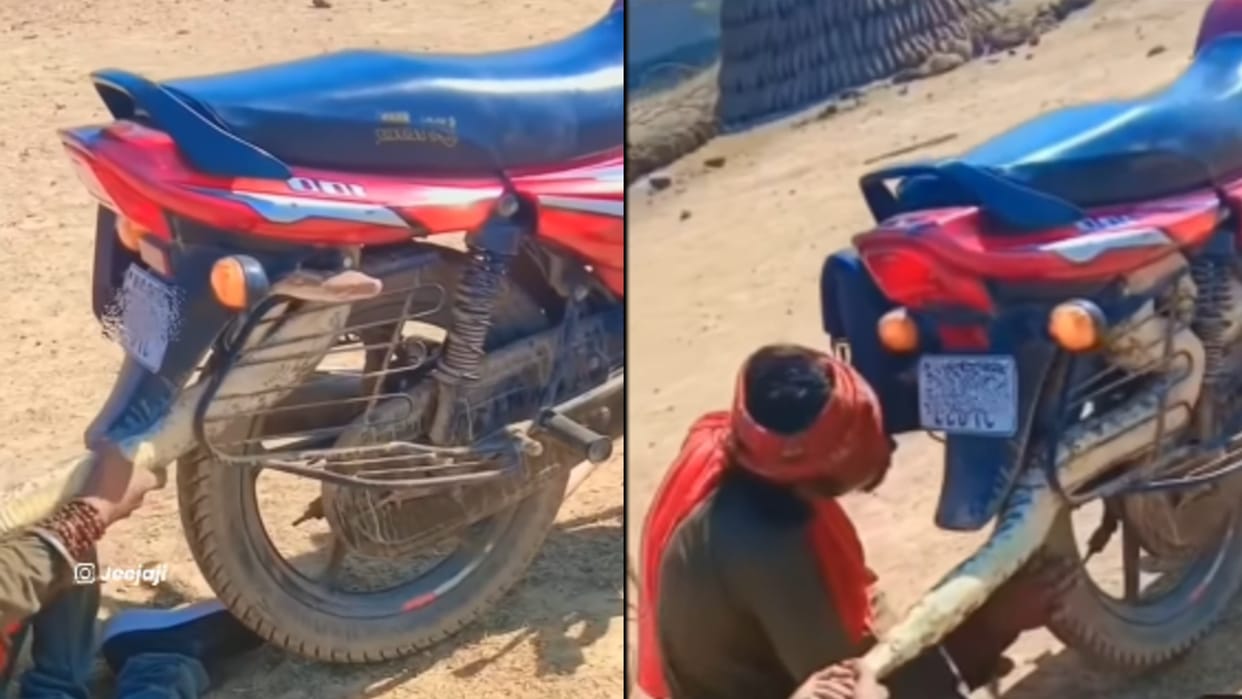Viral Video man pulls out huge python from his bike engine shocking viral video