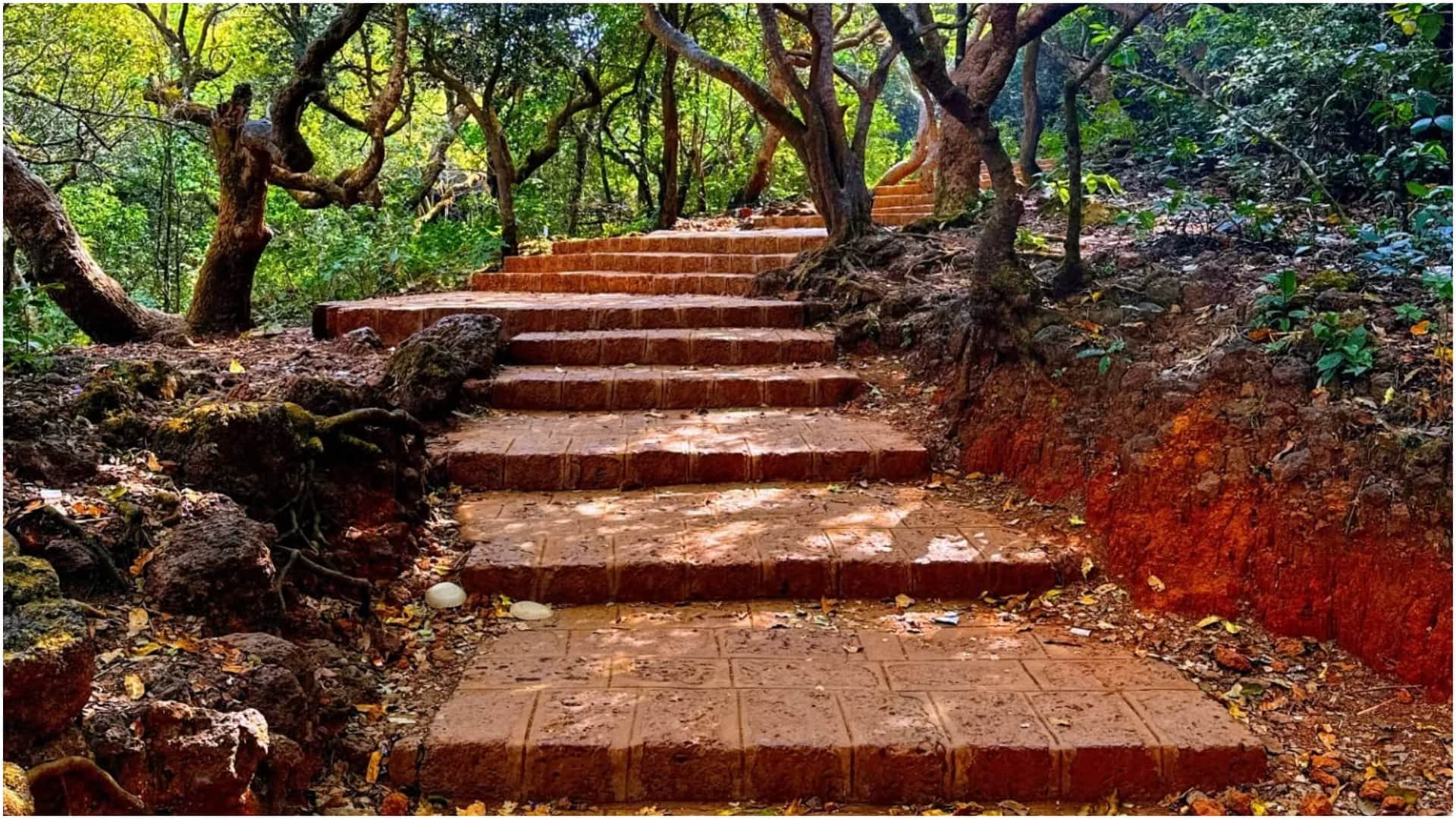 Mahabaleshwar Trip Plan Best Places Enjoy the Scenic Beauty sardiyon me Mahabaleshwar ghumne ka plan