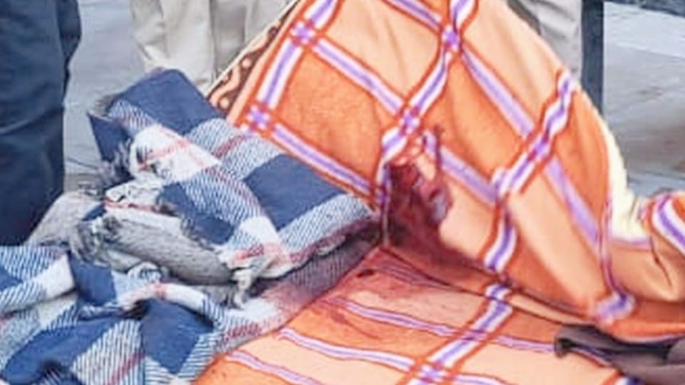 Priest and sevadar murdered in Fatehpur for refusing to enter temple