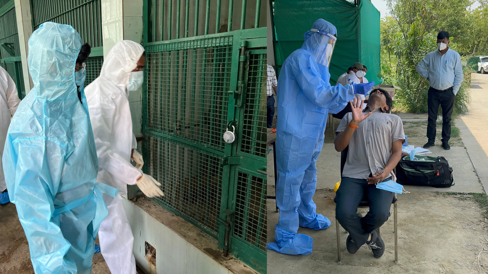 In Gorakhpur,Bird flu spread from ducks.confirmed in the report of the central team