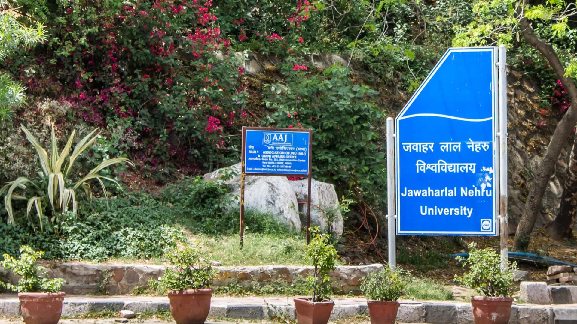 जवाहर लाल नेहरू विश्वविद्यालय, JNU
