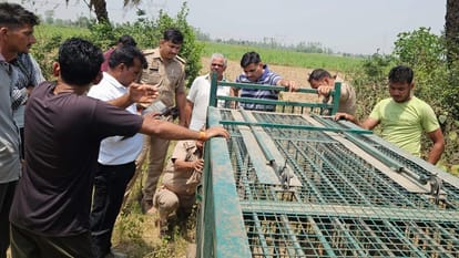Leopards went out of control in Moradabad district, farmer injured in the attack...caged after five hours