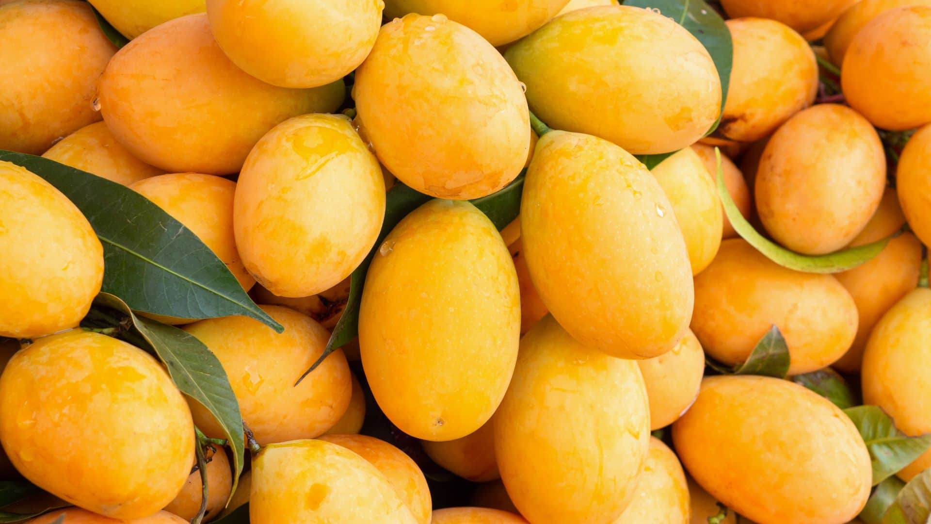 5 fruits that you should never consume at night kaun se fal raat ko nahin khane chahie