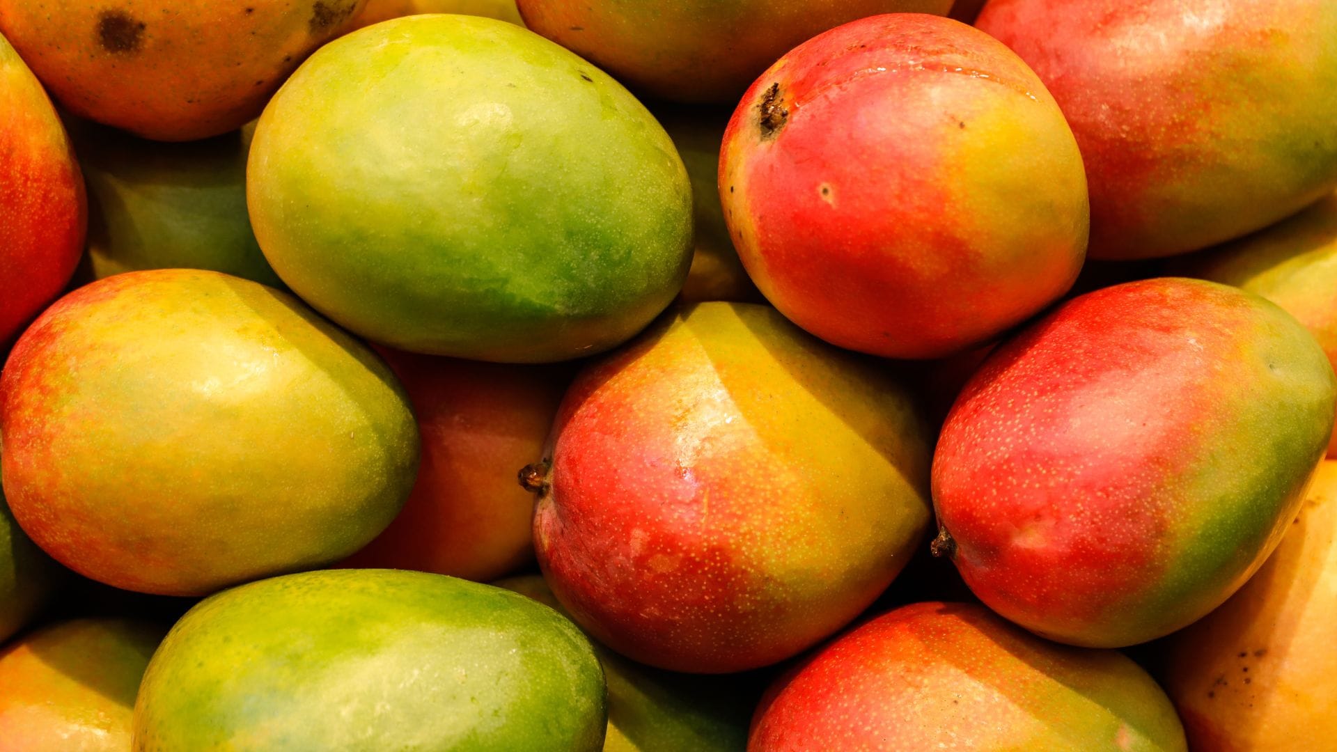 chemical vs Natural Mangoes Easy Ways to Identify Carbide Ripened Mangoes and Protect Your Health