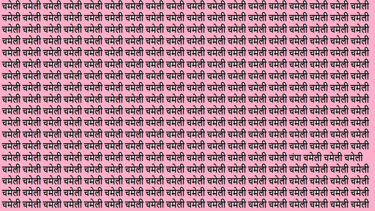 Optical Illusion Iq test Brain Test Can You Spot Champa in 15 Seconds