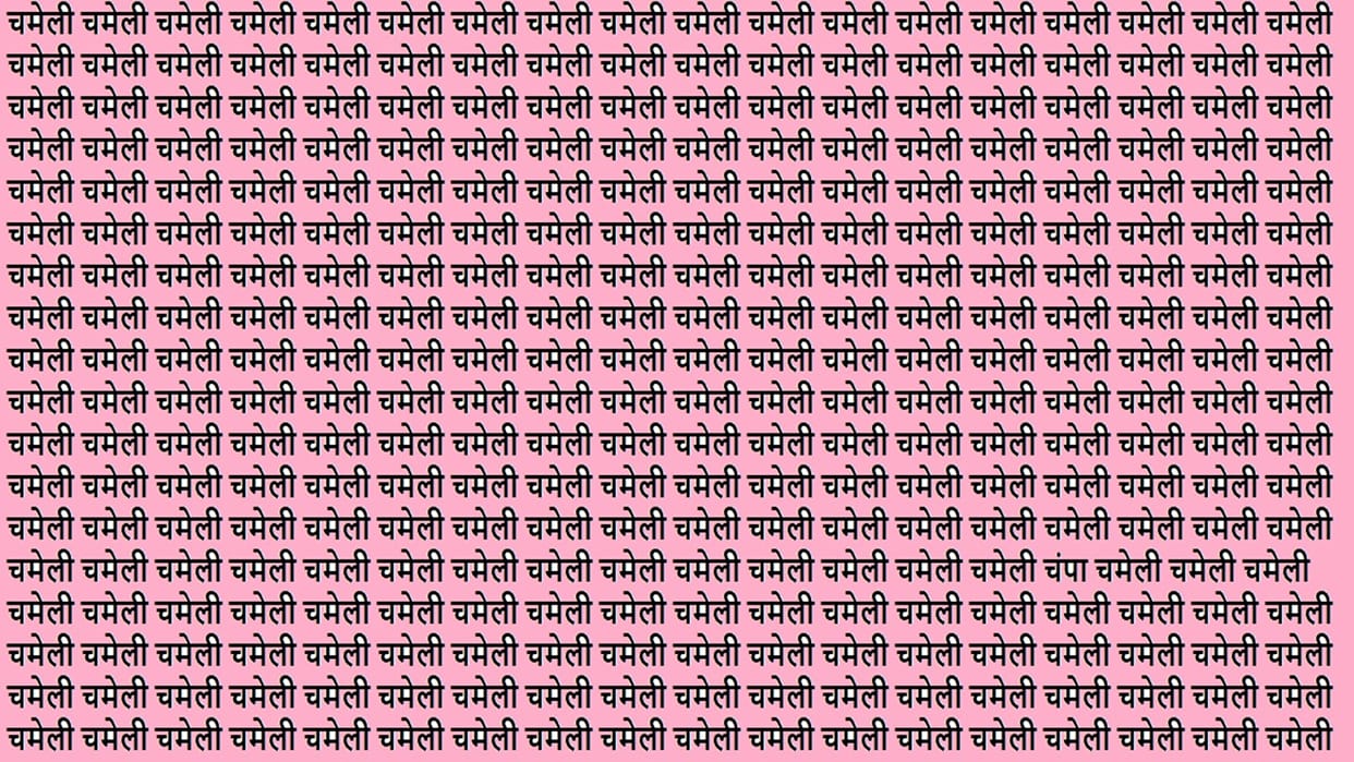 Optical Illusion Iq test Brain Test Can You Spot Champa in 15 Seconds