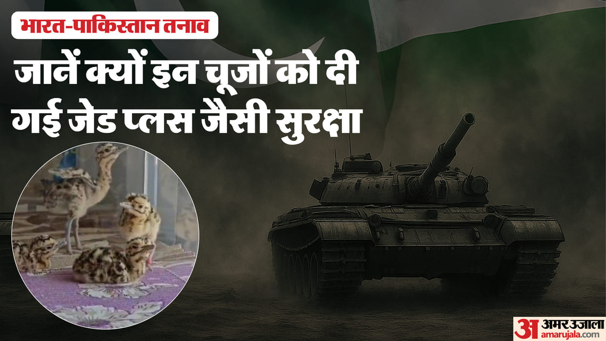 India-Pakistan Tension Why were these chicks removed from Jaisalmer why are their lives so precious