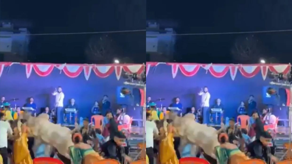 Bull also performed in the music festival suddenly entered and created a ruckus Video goes viral