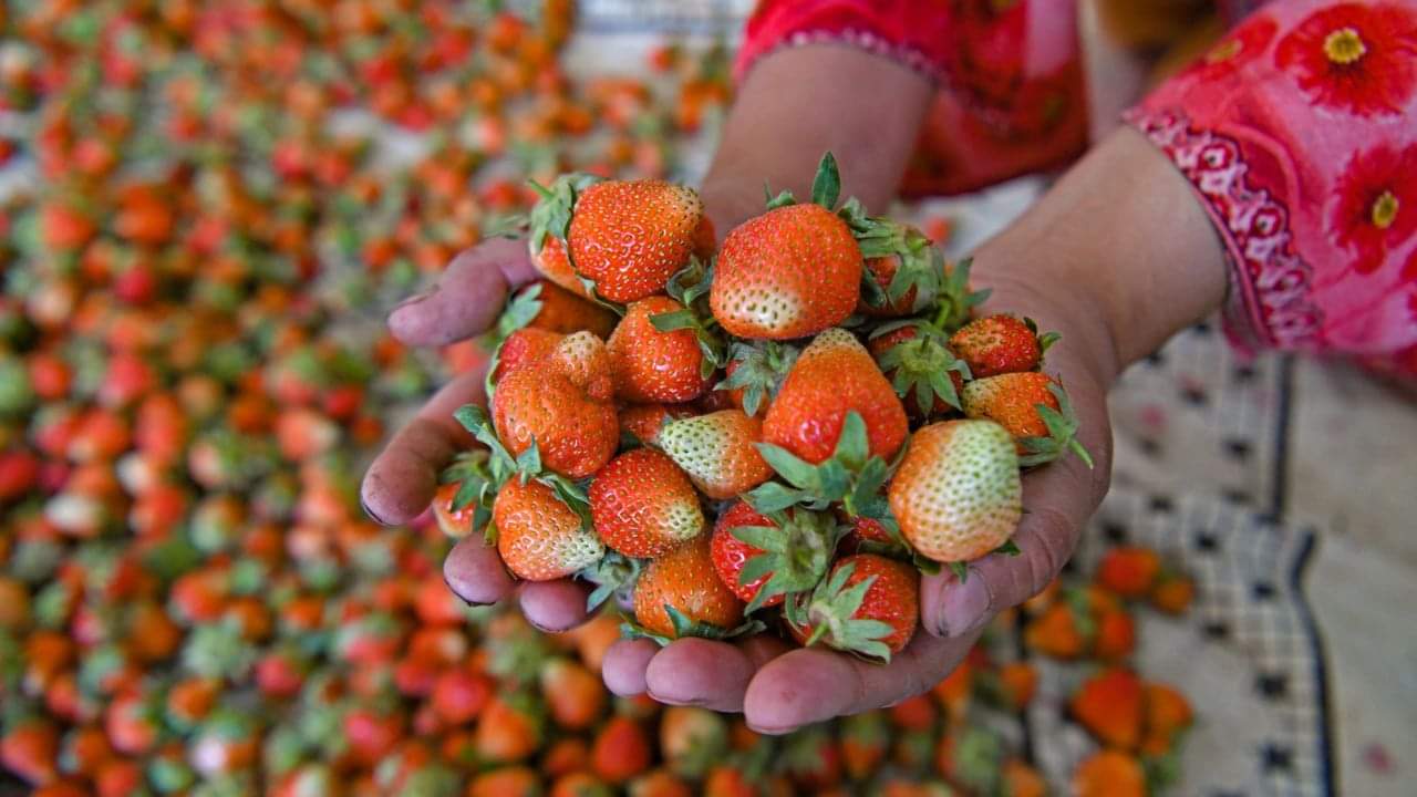 Beauty Tips in Hindi Try Fruit Face Mask at Home For Natural Glow