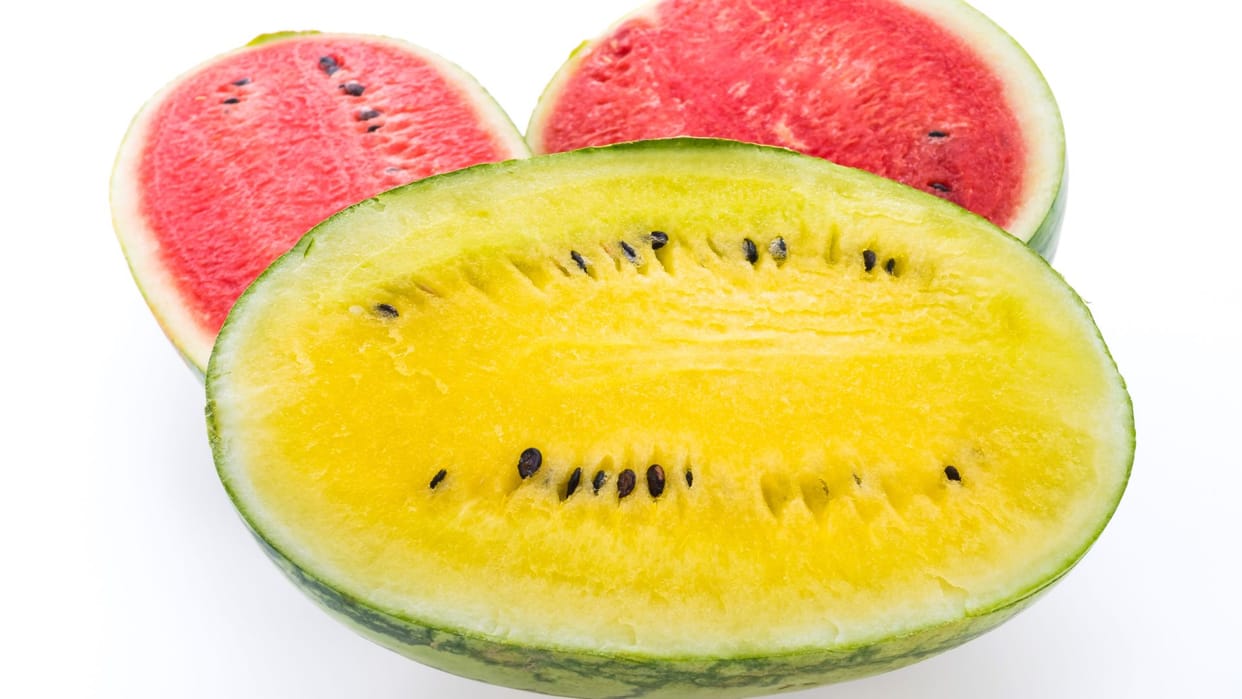 Which is more healthy red or yellow watermelon know in hindi pila tarbuj disprj