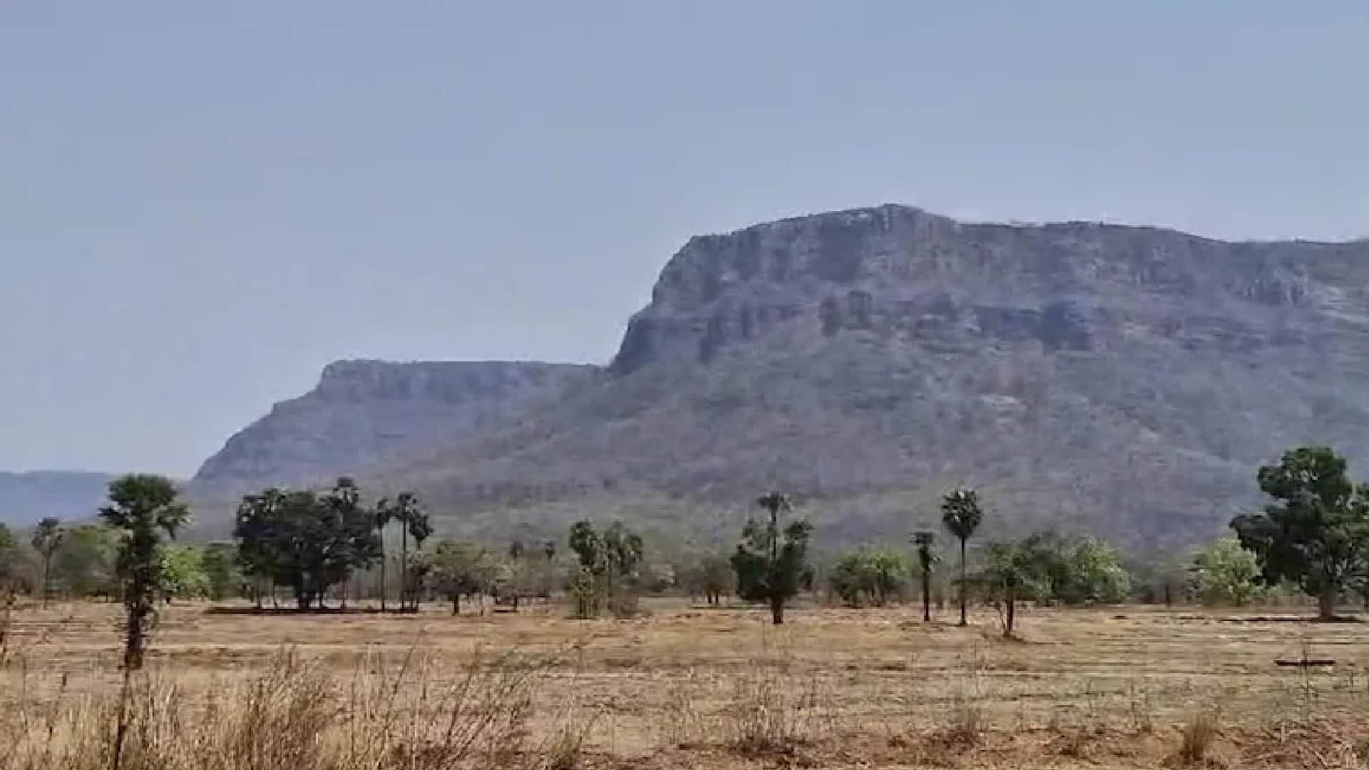 31 Naxals worth Rs 2 crore killed in Bijapur CG: 216 hideouts destroyed in 21 days, see here photos