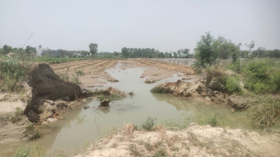 60 bighas of moong submerged due to cutting of Bamba track