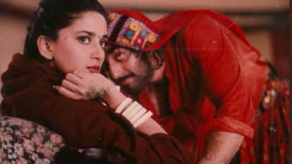 Madhuri Dixit Birthday: gulaab gang to Devdas Mrityudand khalnayak Know about Women centric Movies of actress