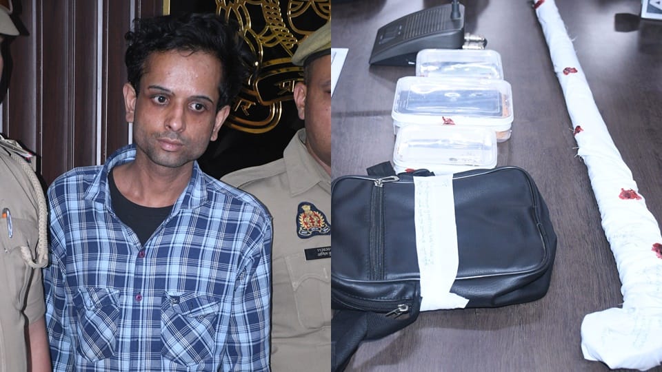Parampara Society Murder: Servant accused of killing elderly woman arrested, looted jewellery recovered