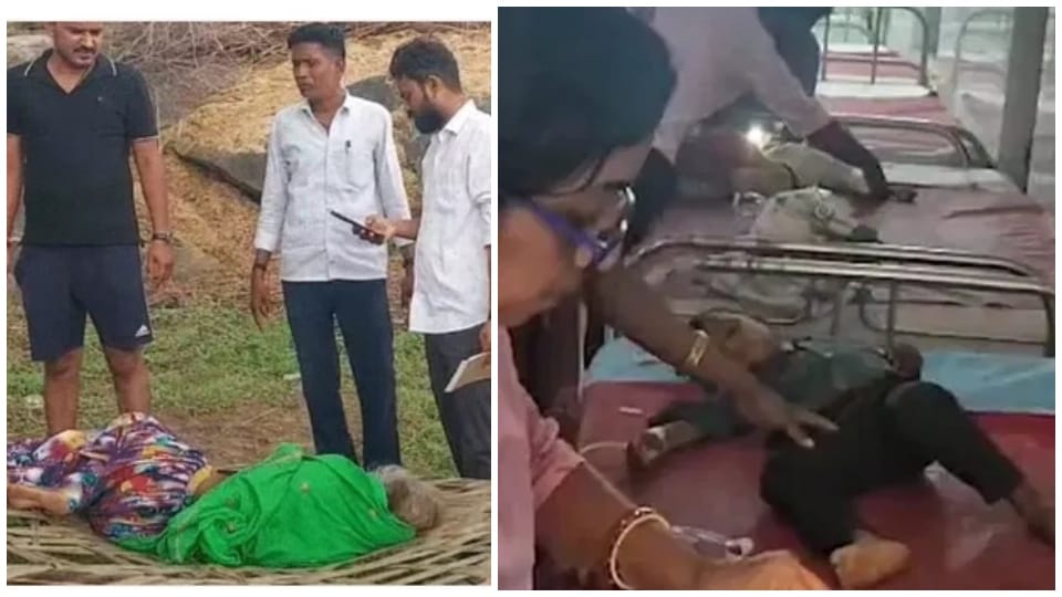 चिकित्सा एवं स्वास्थ्य विभाग की टीम ने लिए सैंपल।