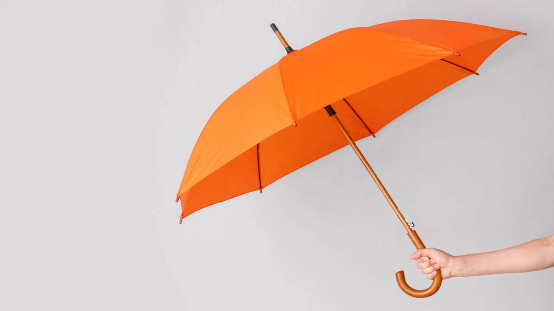 Summer Tips: What are the 4 things you should carry to beat the heat