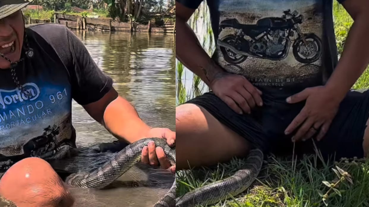 Viral Video snake bites man after entering dirty water in loose boxer
