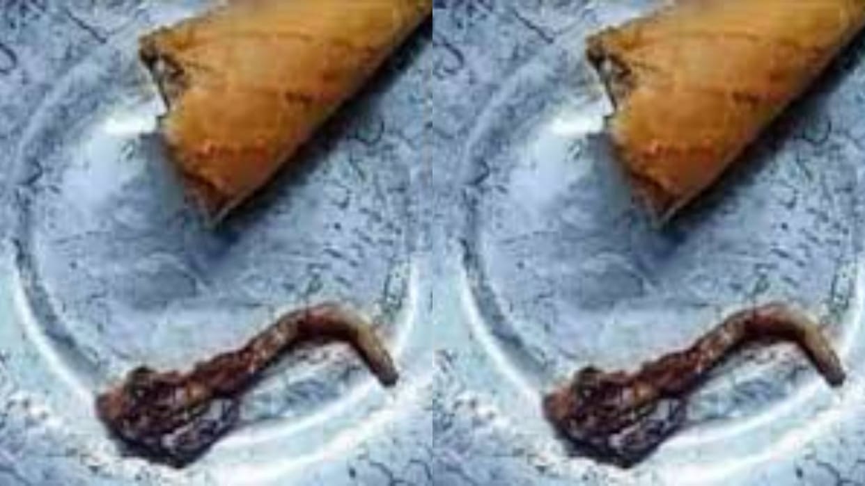 As soon as the woman ate half the ice cream the tail of a dead lizard came out of it in Viral News