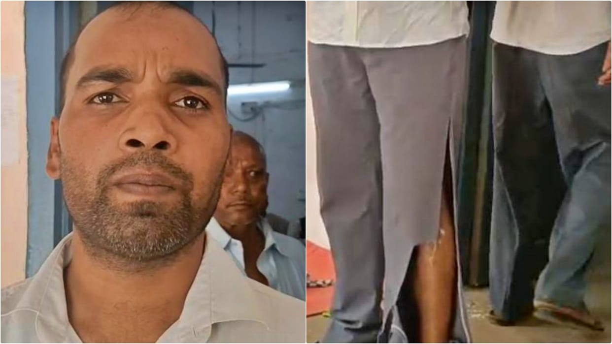 Bihar News: Terror of mad dog in Begusarai court, eight people including lawyer and court employee injured