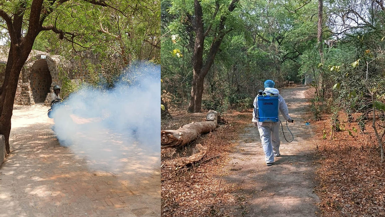Bird flu: Immunity booster given to wild animals and birds, sanitization done in enclosures