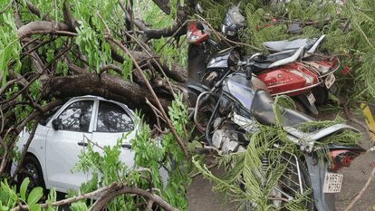 delhi ncr weather update today Rain with strong winds in Delhi NCR