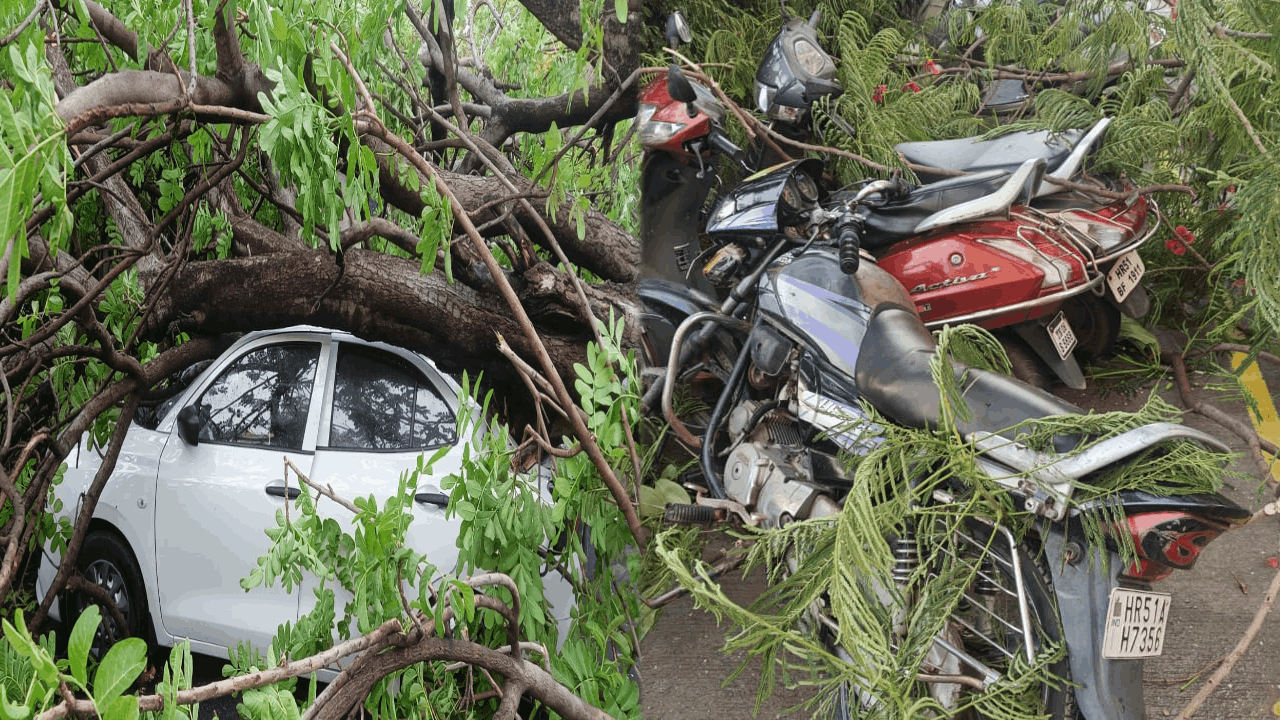 Delhi NCR Rain Storm blew at speed of 30-50KM along with rain and Delhi Airport advisory