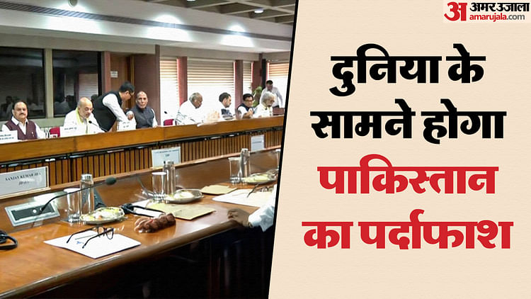 Operation Sindoor: दुनिया में PAK को बेनकाब करेंगे भारतीय सांसद, 10 दिन में 30 MP बताएंगे पड़ोसी की करतूत