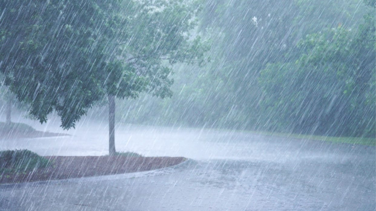 Weather changed in Jharkhand: Alert of heavy rain and thunderstorm in 9 districts including Ranchi