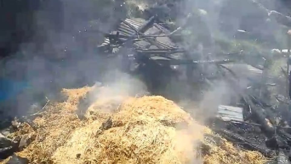 A cow and a calf were burnt to death in a fire at a cowshed in bageshwar