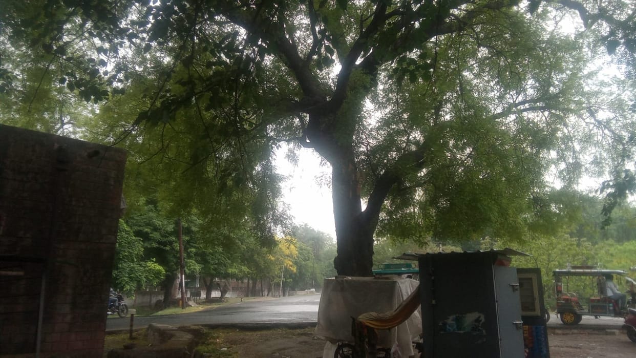 Meerut Weather Forecast Update Today: Relief from heat due to cold breeze and drizzle since morning
