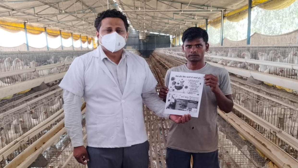 Bird Flu: Samples of 90 chickens taken from 65 poultry farms in Kanpur