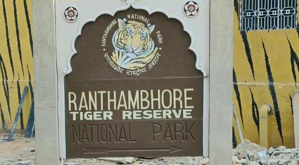 Rajasthan: Forest department's negligence exposed in Ranthambore Tiger Reserve