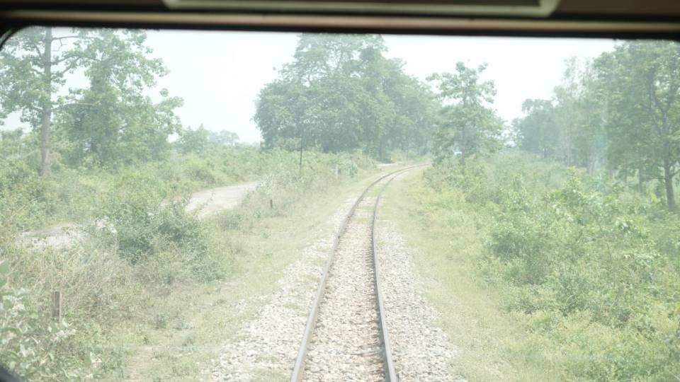 Vistadome train service started in UP you can enjoy jungle safari from Katarniaghat to Dudhwa Tiger Reserve