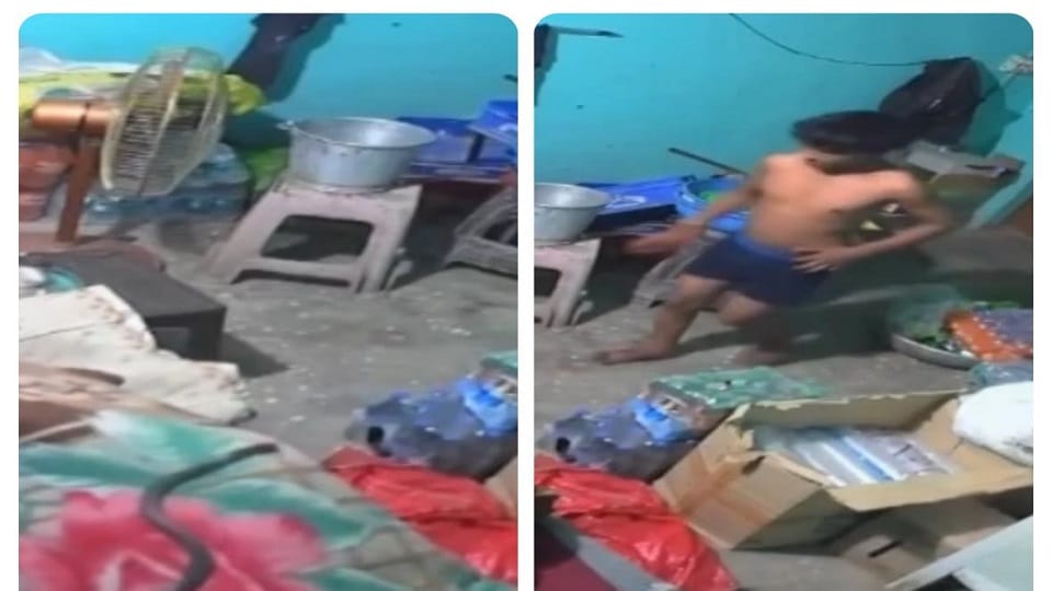 Baghpat: Cobra kept crawling on the bed after biting a teenager, died in the hospital, video viral
