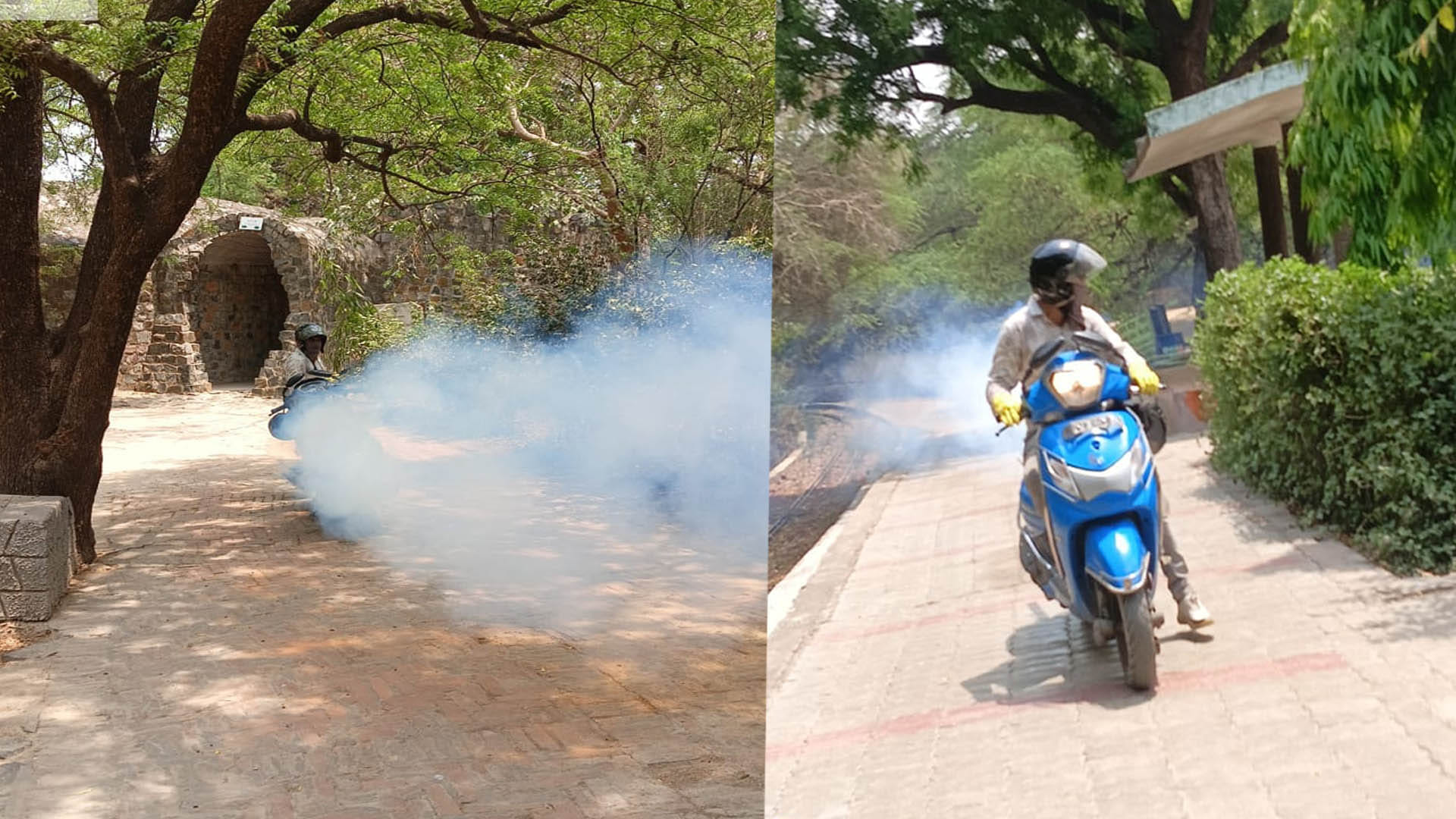 Bird Flu: After the lion and peacock, Brahmi duck bird died in Kanpur zoo