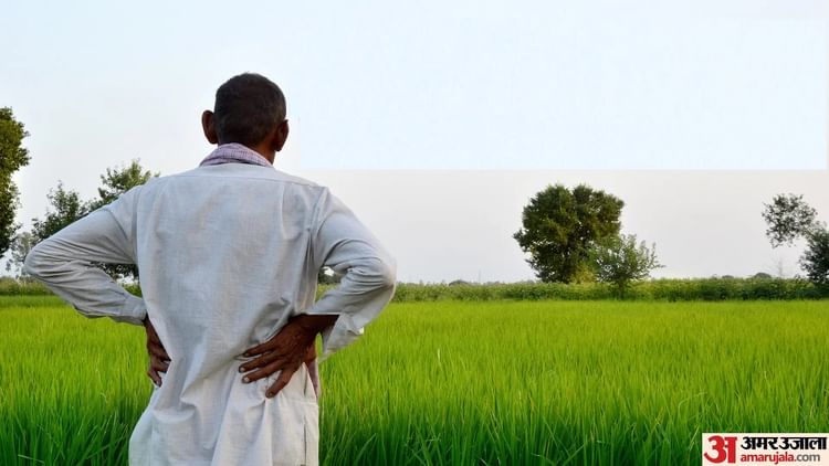 CG: विकसित कृषि संकल्प अभियान 29 मई से 12 जून तक, किसानों को तकनीकी जानकारी-नवाचार से जोड़ने की राष्ट्रीय पहल