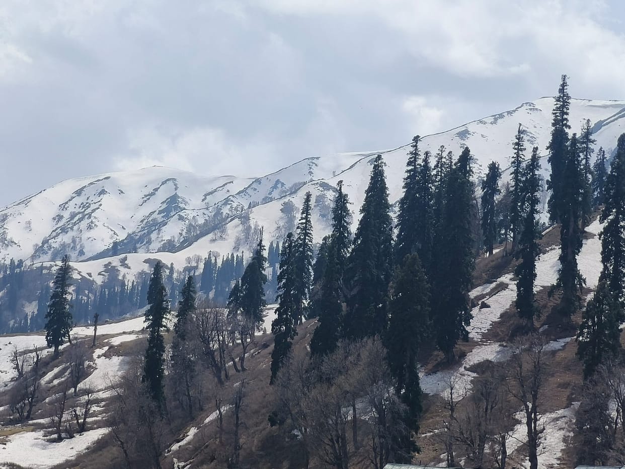 Indore: Jammu and Kashmir tourism, which was derailed after the terror attack, got help from Madhya Pradesh