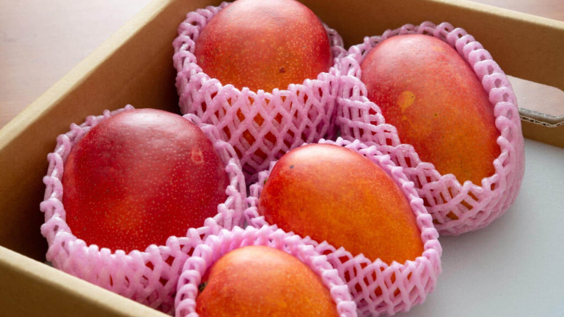 Most Expensive Mango in World Japan Miyazaki Price in India Know All Details in Hindi