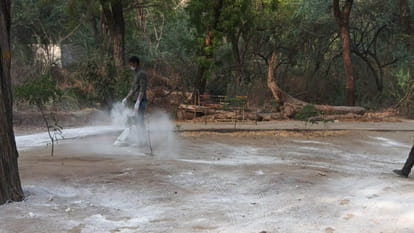 Bird Flu: IVRI team called to control infection, vigilance increased