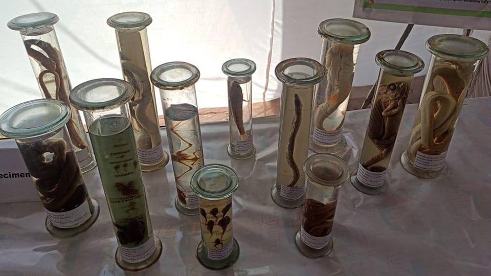Exhibition held at AMU Musa Dakri Museum
