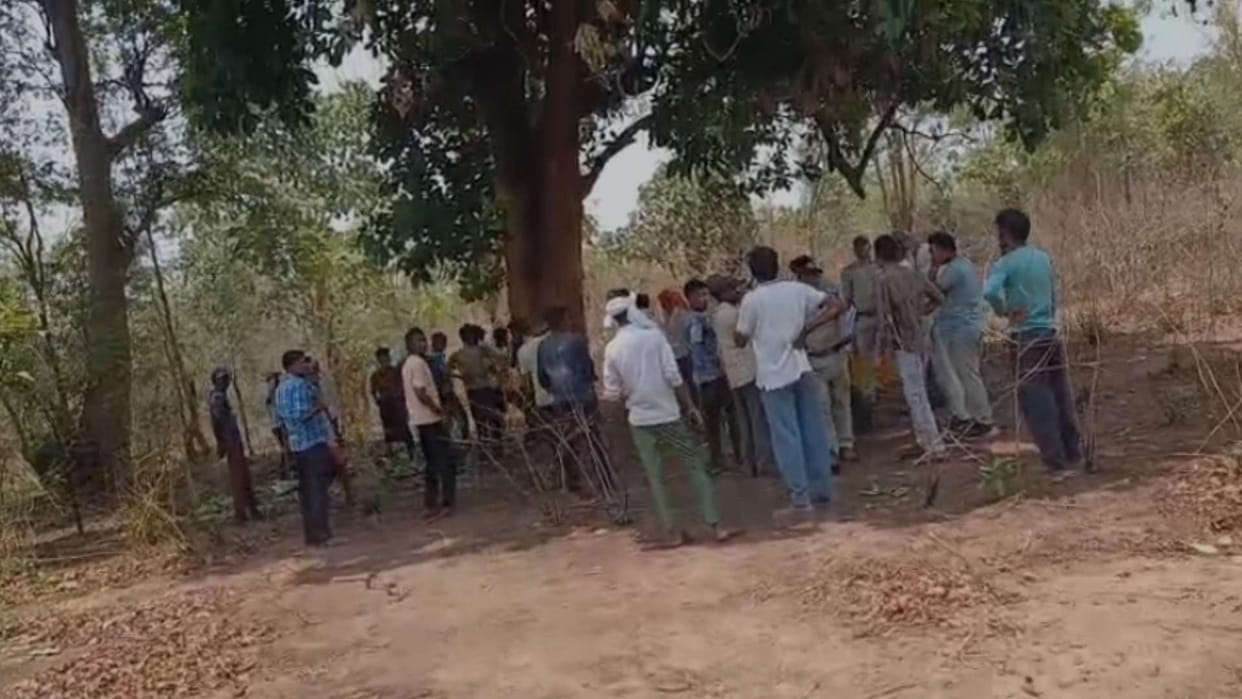 jungle elephant attack two villagers killed madhya pradesh