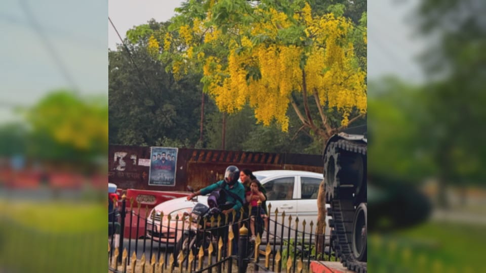 Temperature Crosses 38°C in Meerut, Humidity Troubles Residents, Rain Likely Today
