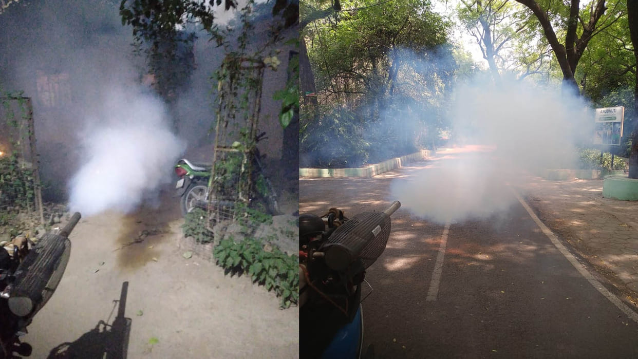 Bird Flu: Fogging done around zoo, signature greens forgotten, panic among 25000 people living in red zone