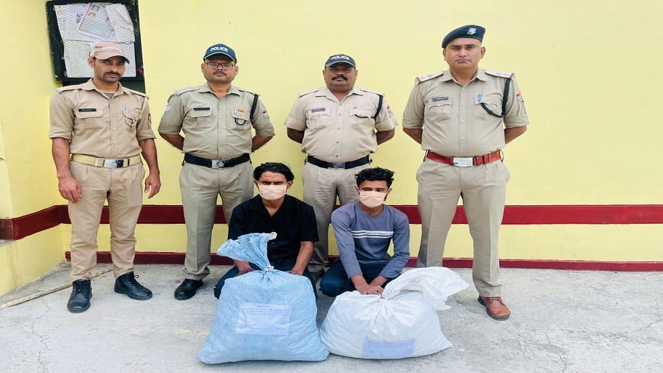Two brothers arrested with ganja in almora