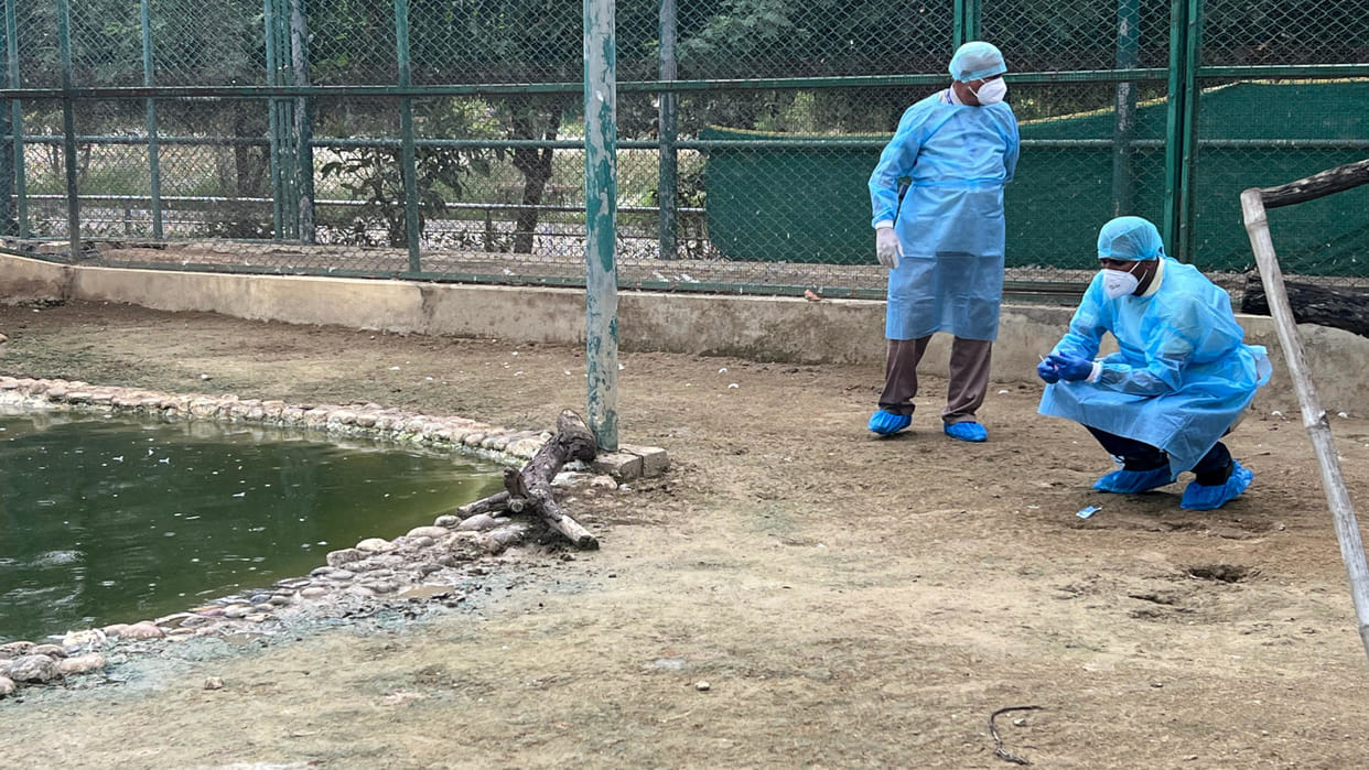 Avian influenza confirmed in Delhi Zoo closed for public